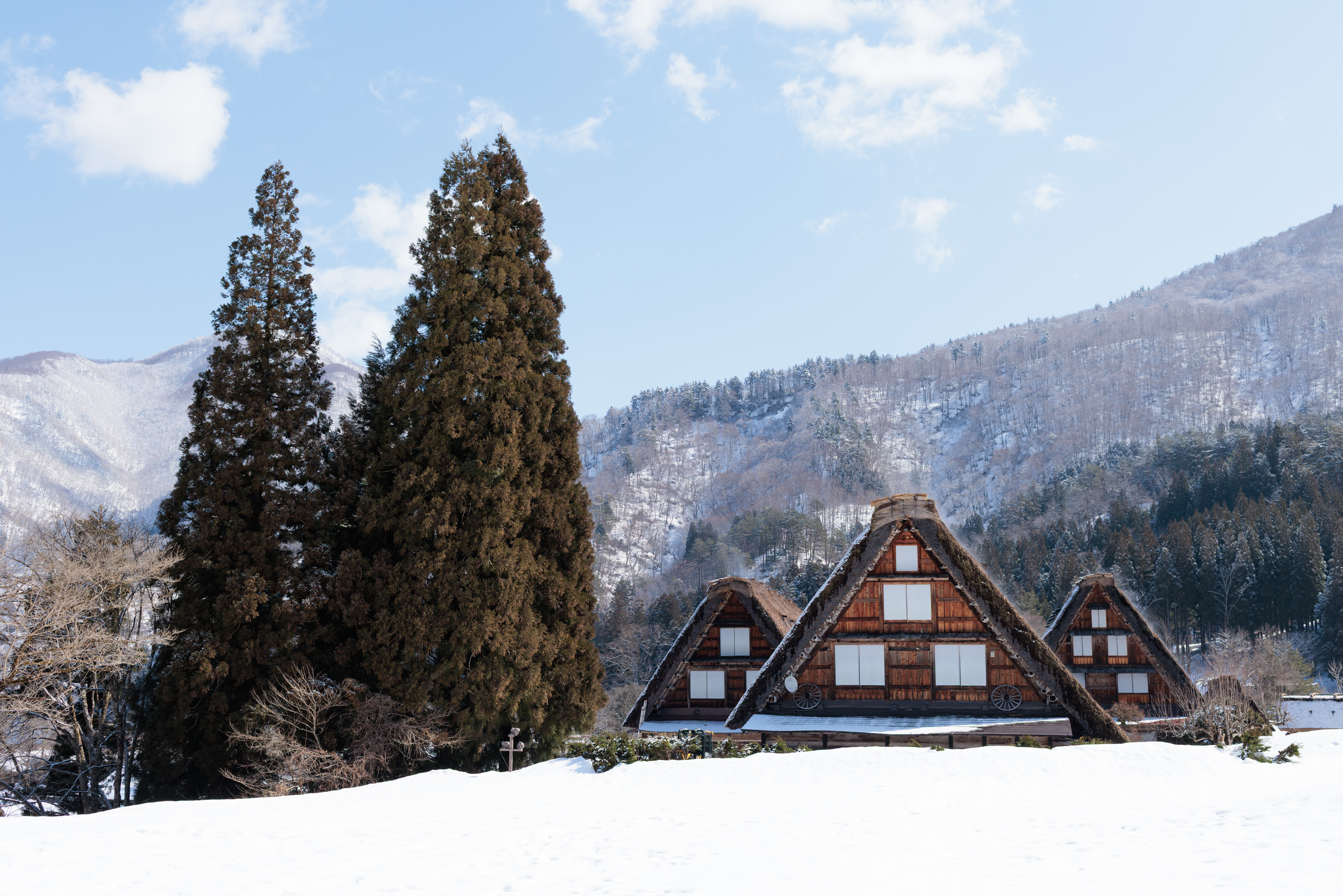The famous Shirakawa-go three houses