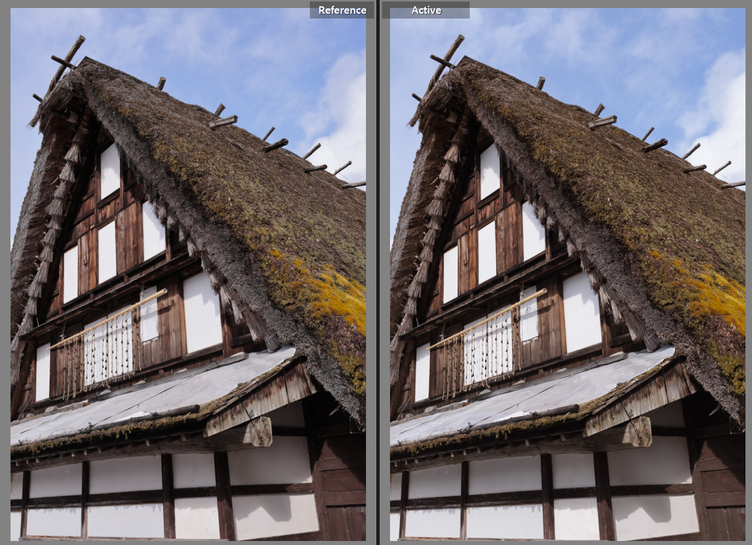 Canon result on the left, my tweaks to the Lightroom profile on the right. The moss color is much closer to the original.